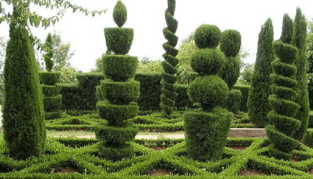 decoraciones para arbustos de jardín